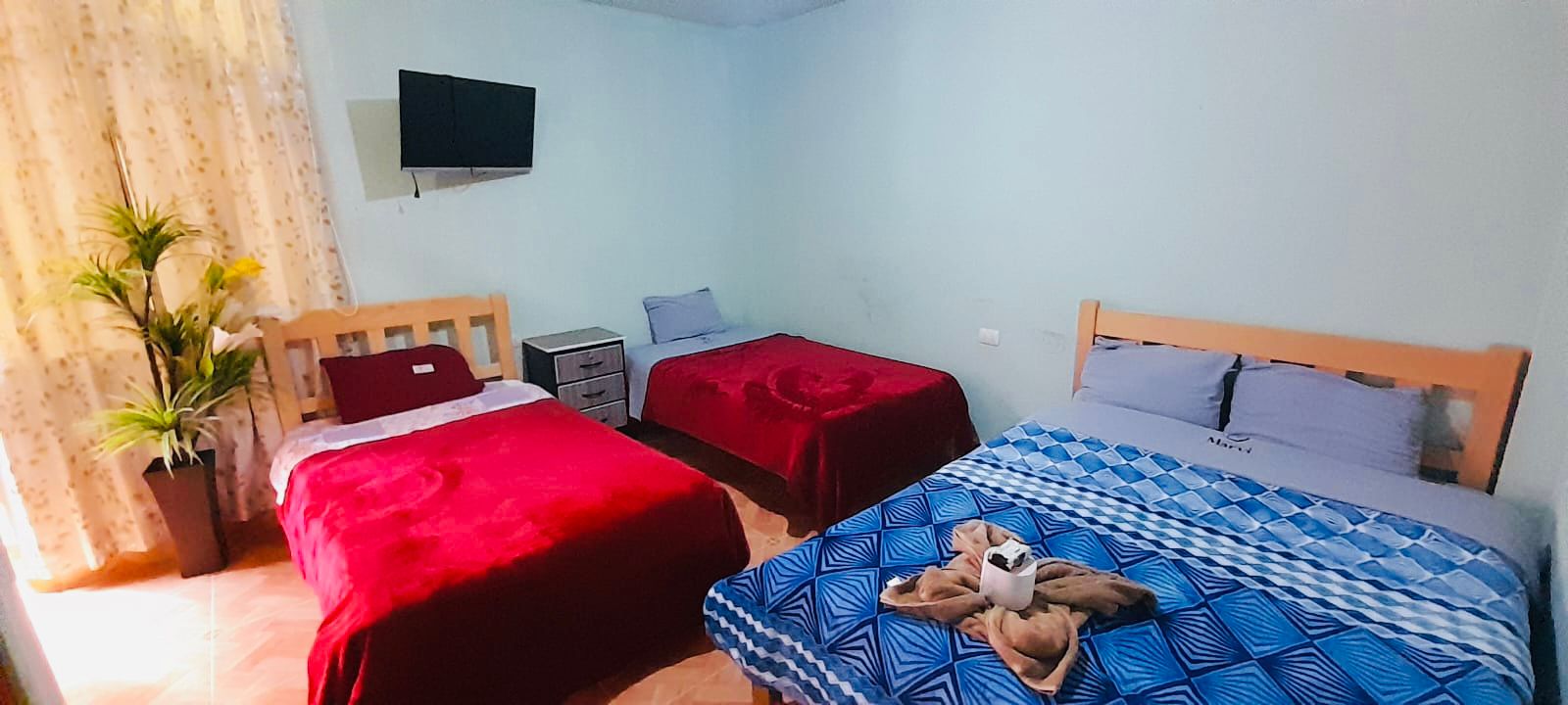 Habitación Triple